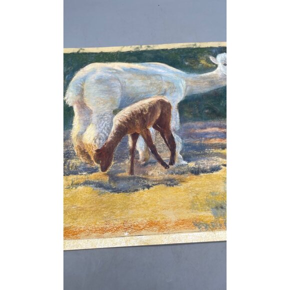 Original Pastel Drawing Of white & brown Alpacas Grazing In Field farming READ - Picture 3 of 5